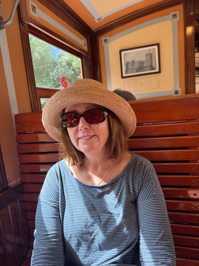 A woman wearing a straw hat and sunglasses is sitting on a wooden bench inside a train, with sunlight coming through the windows.