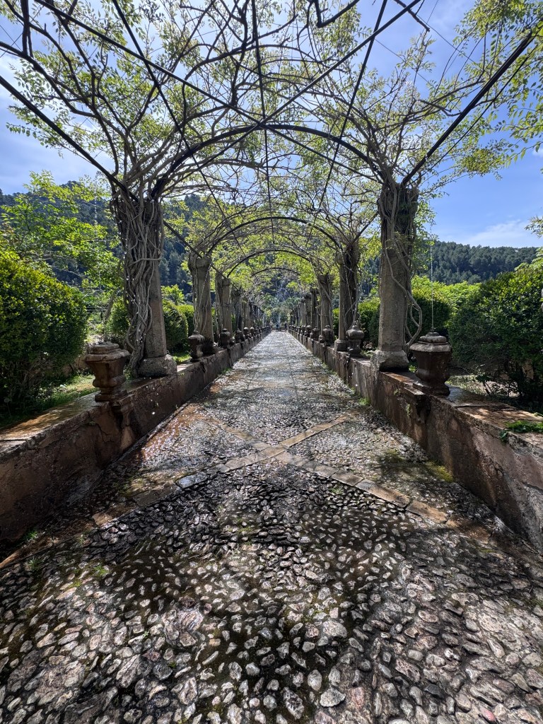 A stone pathway lined with lush greenery and arching vines, leading into a natural landscape under a clear blue sky.